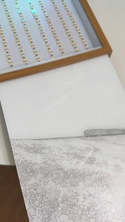 Summer Sky Journey illuminated train and flower field artwork — light off and light on demonstration