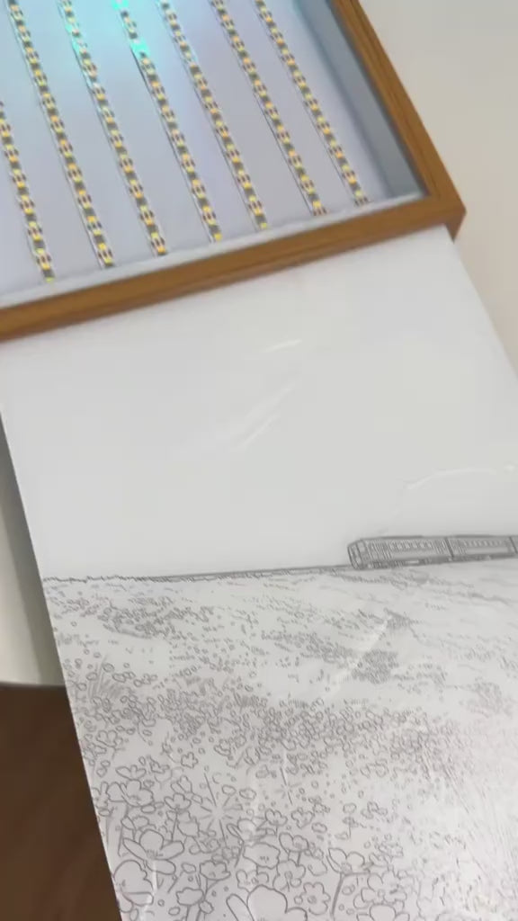Summer Sky Journey illuminated train and flower field artwork — light off and light on demonstration